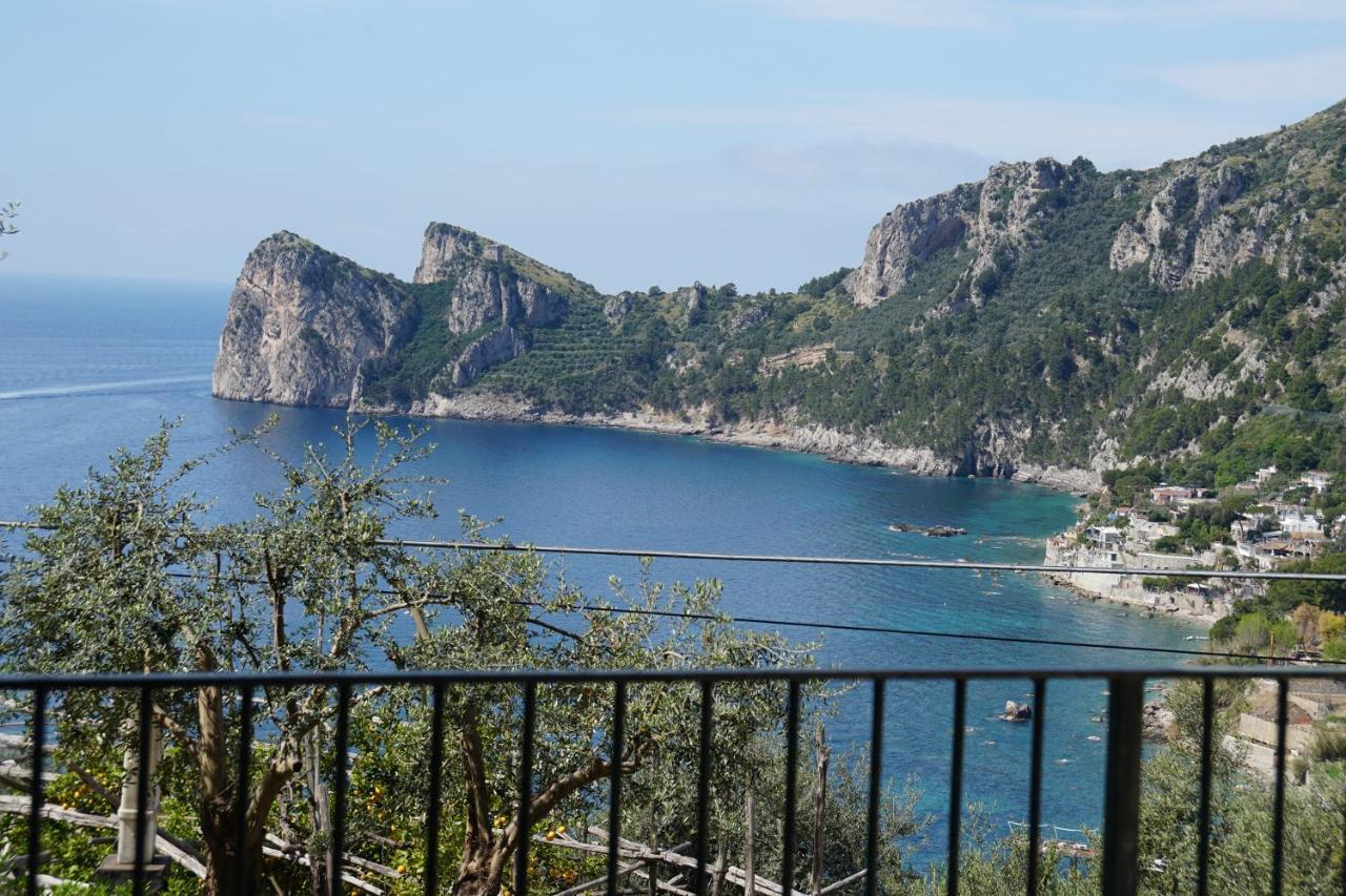 Villaggio Syrenuse Residence Massa Lubrense Bagian luar foto