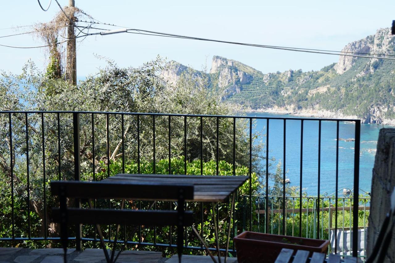 Villaggio Syrenuse Residence Massa Lubrense Bagian luar foto